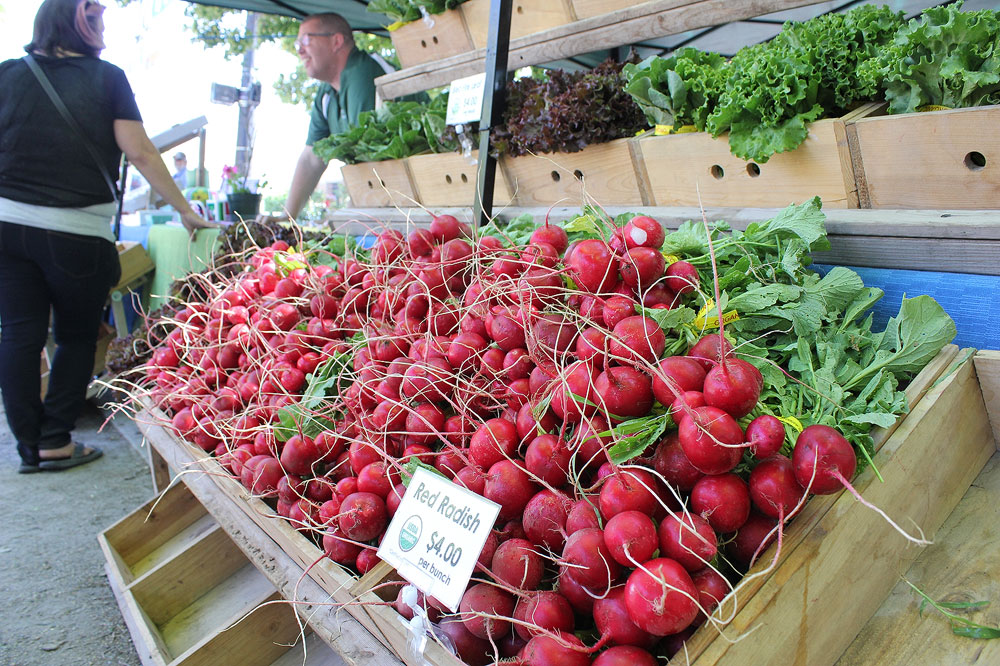 Downtown Farmers Market opens for the season Radishes