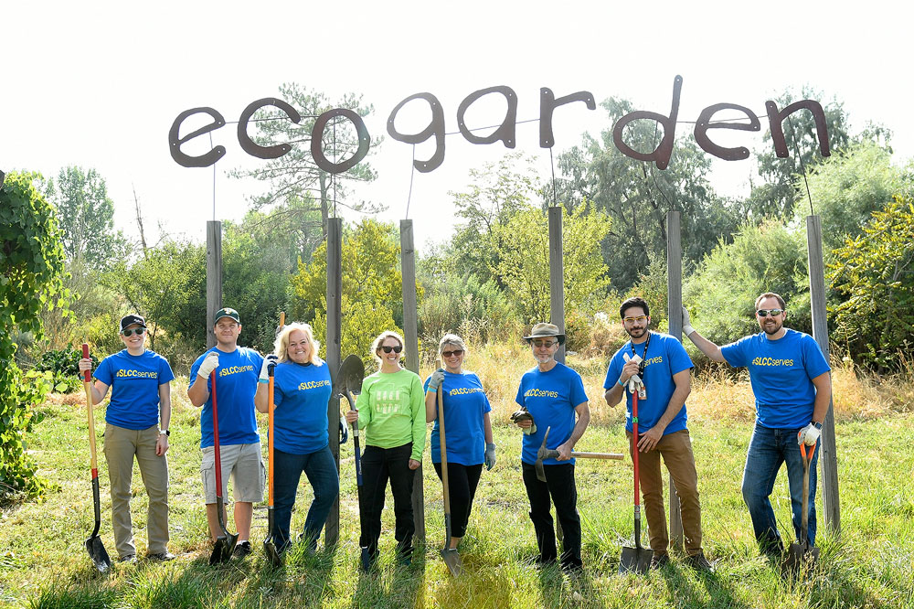 Day of Service encourages civic engagement Day of Service ecogarden project
