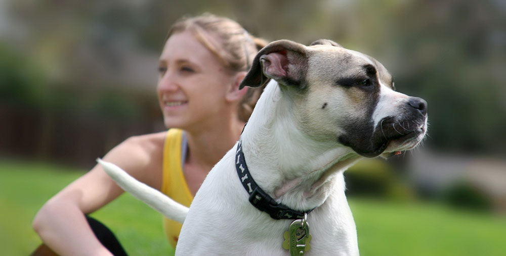 Don’t leave your dog at home Woman with her dog