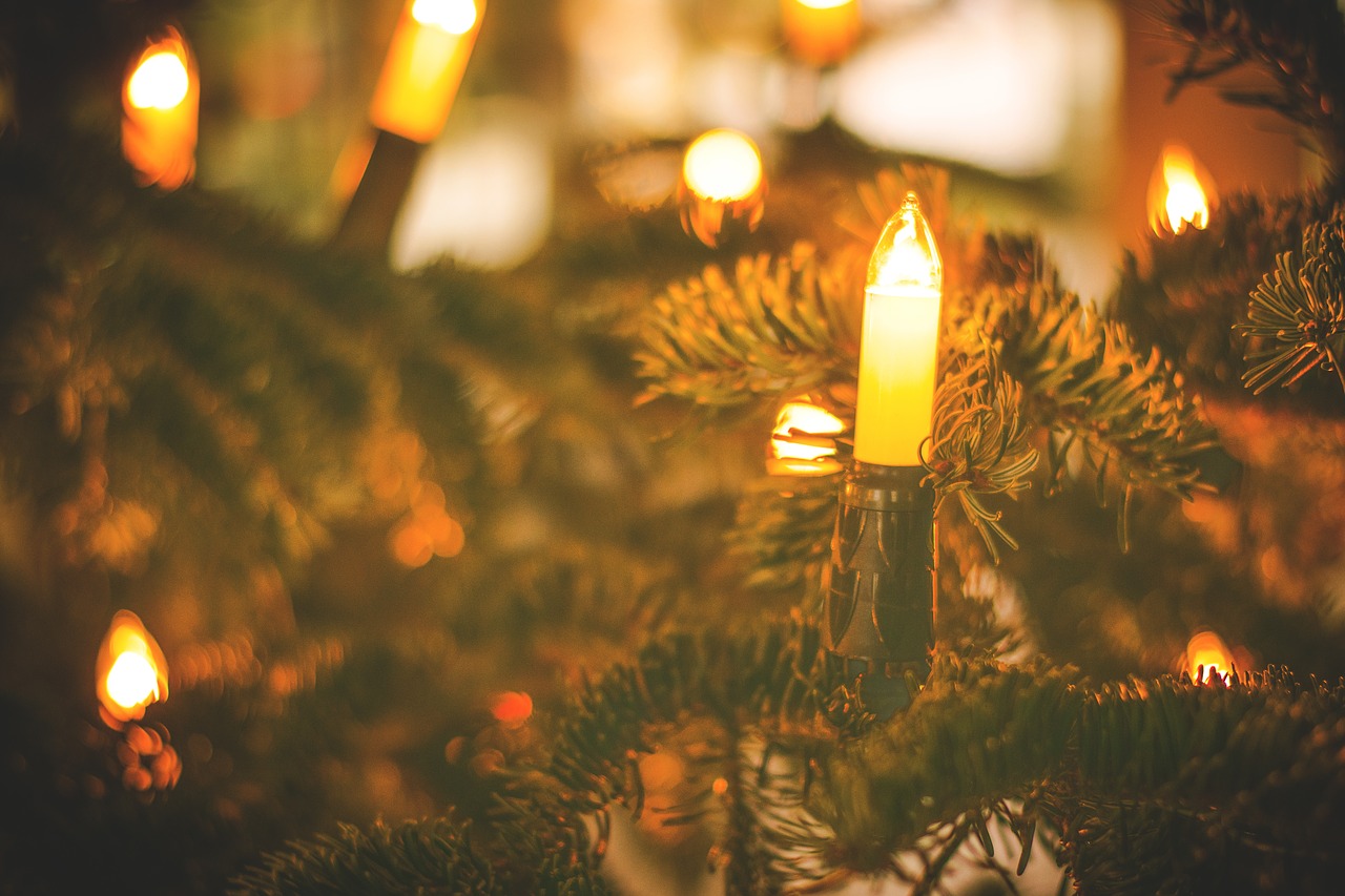 Winter activities to warm your spirit Christmas tree lights