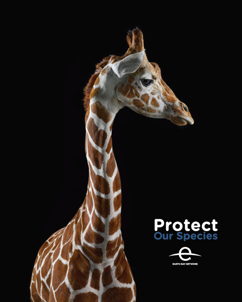 Earth Day 2019 preview Protect Our Species poster