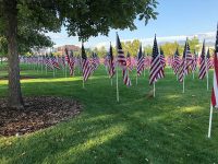 Rows of American flags