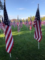 Rows of American flags