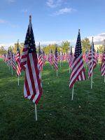 Rows of American flags