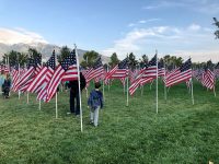 Adult and young child surrounded by American flags