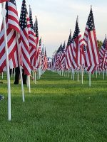 Rows of American flags