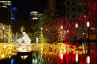 Tea light candles surrounded by trees wrapped in holiday lights