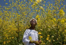 How to enjoy Sundance in Salt Lake City A still from "A Love Song For Latasha"