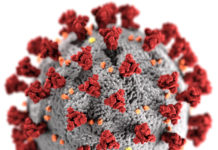 SLCC prepares for possible impacts of coronavirus Illustration of coronavirus