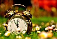 Utah may adopt permanent daylight saving time Alarm clock sitting in a meadow