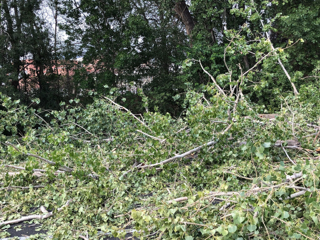Photos: High winds cause damage, power outages along Wasatch Front ...