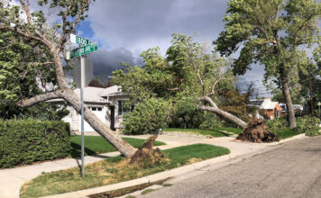 Photos: High winds cause damage, power outages along Wasatch Front Two uprooted trees, one landed on a house