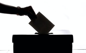 Calling all Bruins: Contribute to The Globe’s 2020 election survey Person dropping paper in box