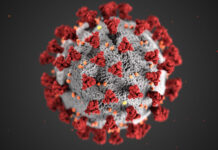Students react to Utah’s spike in COVID-19 cases Coronavirus illustration