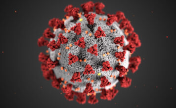 Students react to Utah’s spike in COVID-19 cases Coronavirus illustration