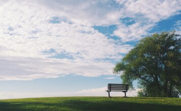 In memoriam: Remembering those lost during the fall term Dark wooden bench under a tree in a field