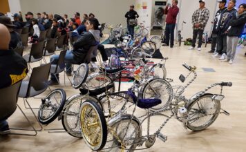 SLCC professor sparks change in the community Row of bicycles on display in auditorium