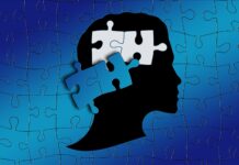 How disability services transfer from high school to college Illustration of puzzle pieces of the brain