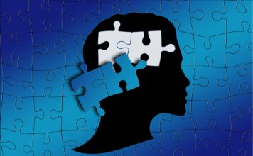 How disability services transfer from high school to college Illustration of puzzle pieces of the brain