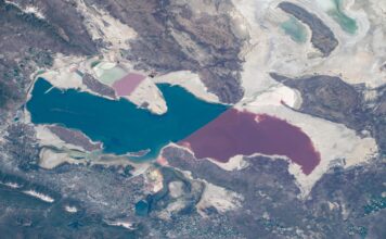 What can be done to save the Great Salt Lake? The Globe joins solutions journalism collaborative to help find answers Satellite image of the Great Salt Lake