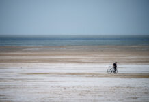 N. Utah seeing its worst dust in a decade. Why the drying Great Salt Lake isn’t to blame — yet. Man with bicycle walking on dry portion of Great Salt Lake