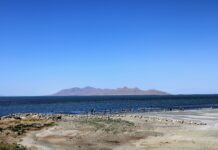 Hazardous metals aren’t only in Great Salt Lake’s dust, they’re in the ecosystem too Distant view of visitors standing near the Great Salt Lake