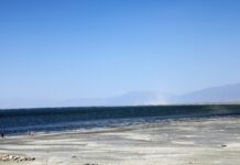 Great Salt Lake reaches new low point, ecosystem imperiled by salinity ‘tipping point’ View of the Great Salt Lake shoreline in 2021