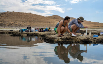 Microbialites also tell the story of the Great Salt Lake’s worrisome decline Two students collect scientific data from the lake