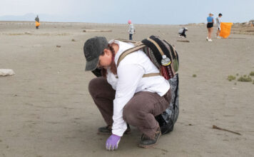SLCC students show up for the Salt Lake during this year’s coastal cleanup Person crouches down to pick up garbage