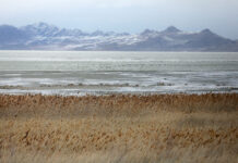 Lake questions: How does drought and population growth affect the Salt Lake crisis? Mountains in background, lake and phragmites in foreground