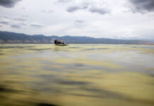 Lake questions: Does greater salinity lead to more evaporation in the Salt Lake? Fan boat drives across the Great Salt Lake
