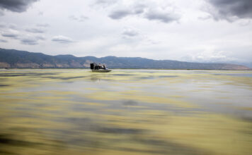 Lake questions: Does greater salinity lead to more evaporation in the Salt Lake? Fan boat drives across the Great Salt Lake