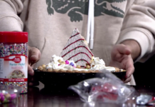 What’s Bruin’ – Pie decorating Decorated pie topped with a holiday tree cake and whipped cream