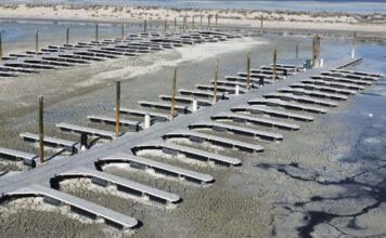 Water, Great Salt Lake bills to be unveiled in the Utah State Legislature Empty docks from low water levels in the Great Salt Lake Marina