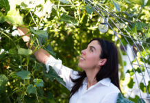 A Utah business owner and TikToker is bringing attention to sustainable landscaping Daryl Lindsey gardening