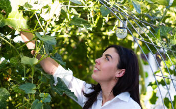 A Utah business owner and TikToker is bringing attention to sustainable landscaping Daryl Lindsey gardening