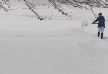 Utah in ‘uncharted territory’ with record-breaking snow, Cox warns Person shoveling snow