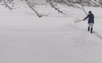 Utah in ‘uncharted territory’ with record-breaking snow, Cox warns Person shoveling snow