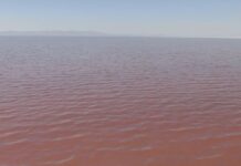 The surprising pink color of Great Salt Lake’s northern portion explained Salt Lake water with pinkish hue