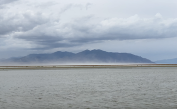 Great Salt Lake’s dust could cost $1.5 billion to fix with costs ‘skyrocketing’ as more lakebed is exposed Gray clouds above dust storm on Great Salt Lake