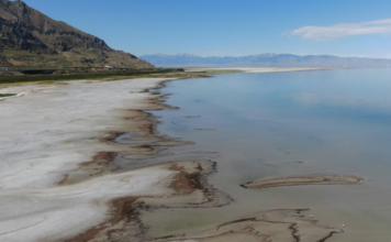 Lawsuit filed against Utah demanding action to save the Great Salt Lake Exposed lakebed at Great Salt Lake