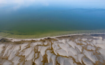 Doctors urge Utah lawmakers to take immediate action on Great Salt Lake Great Salt Lake, receding shoreline near the marina
