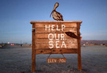 Like Utah, California has had pipeline dreams to save its drying Salton Sea Crafted bird and fish on a wooden sign that reads "Help our sea, elev 70m"