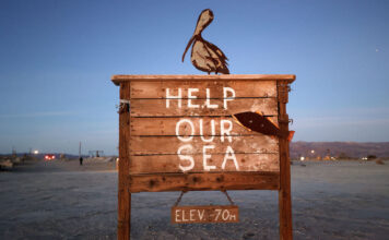 Like Utah, California has had pipeline dreams to save its drying Salton Sea Crafted bird and fish on a wooden sign that reads "Help our sea, elev 70m"