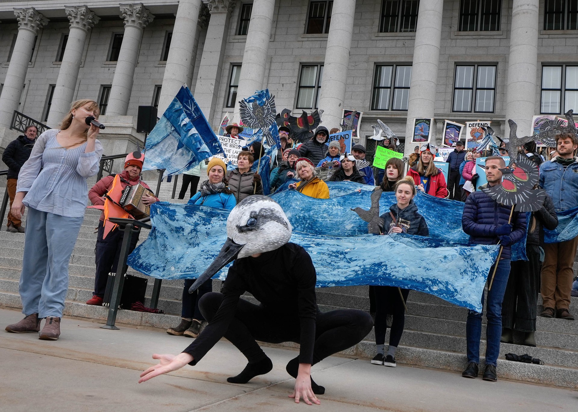 Performers join other activists outside the Capitol to rally for phalarope