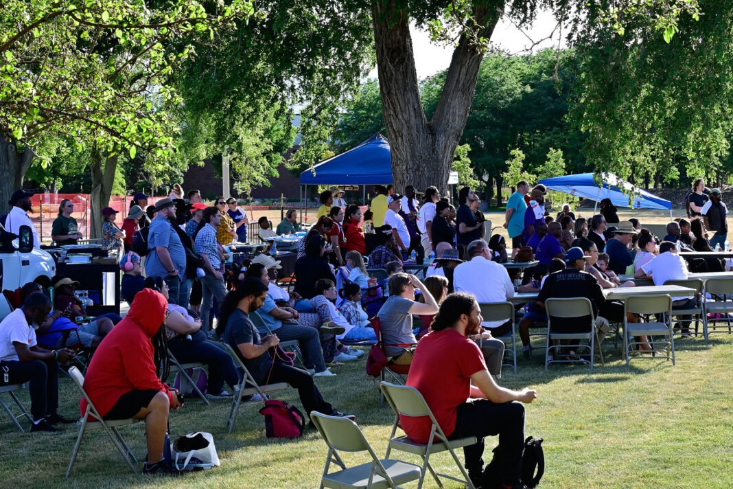 Crowd seated underneath trees during a concert