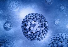 Stay ahead of flu season with services offered through the Center for Health and Counseling Close up of influenza virus spore