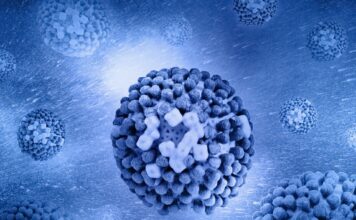 Stay ahead of flu season with services offered through the Center for Health and Counseling Close up of influenza virus spore