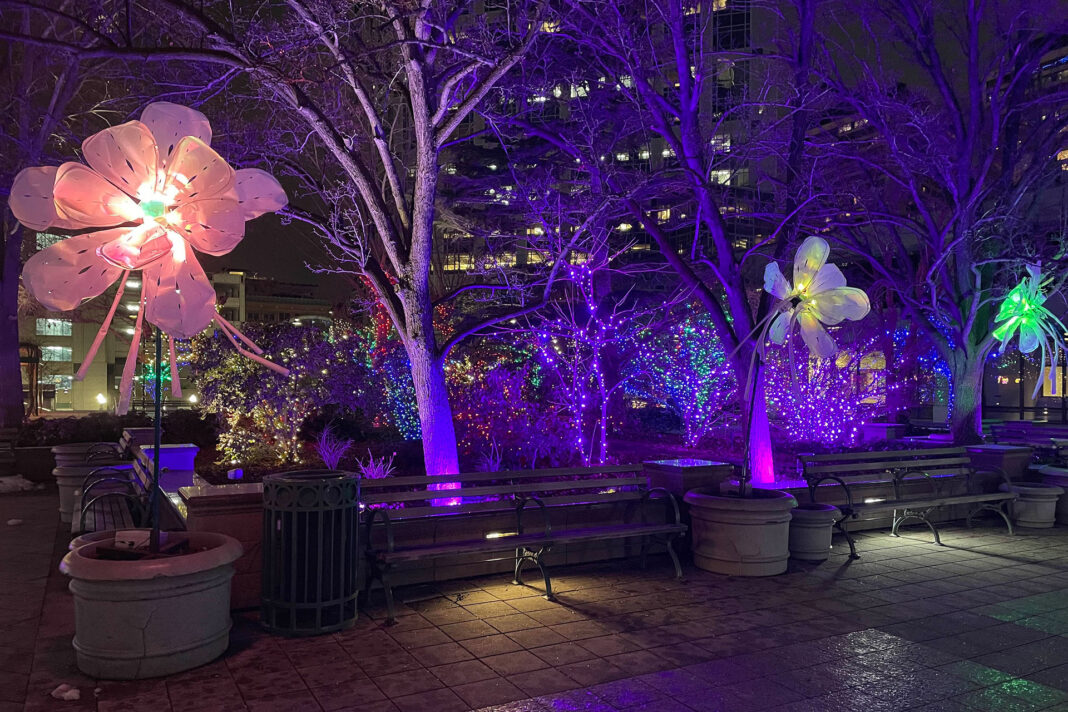 Purple lights shining on trees decorated with illuminated flowers