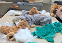 Students take home stuffed animal friends at DIY event Plushies sitting on a table waiting to be stuffed